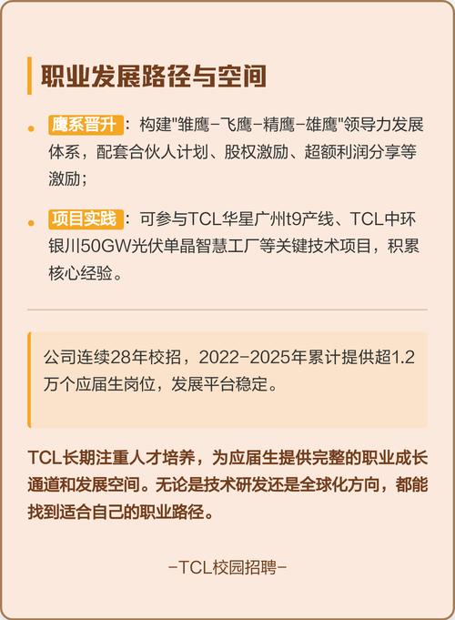 TCL公司招聘有哪些岗位和要求？-图1