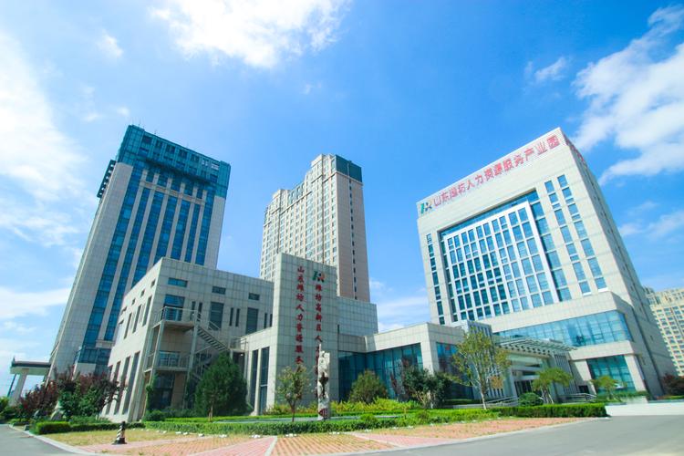 世和人力资源公司做什么？服务有何优势？-图2