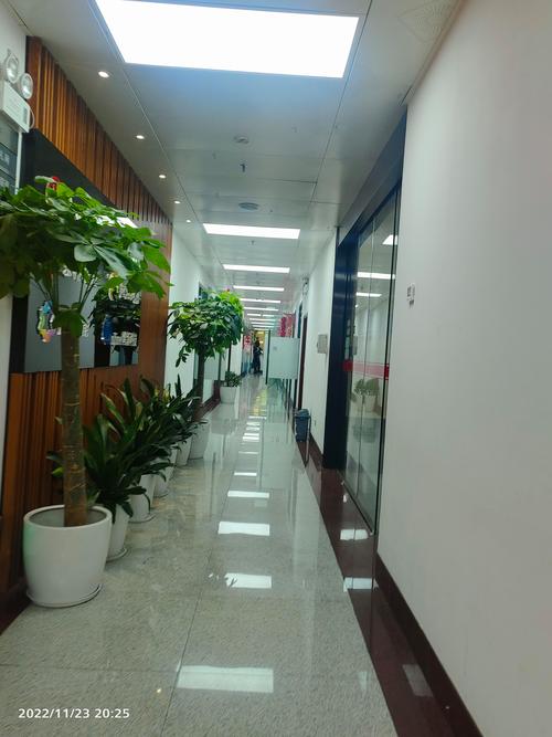 如何融入与公司氛围不一致的环境？-图2