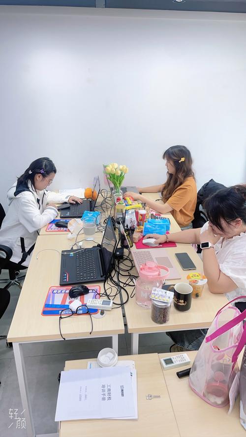 微型公司工作，如何高效协作与成长？-图1