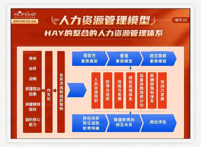 该公司人力资源管理有何创新与挑战？-图1