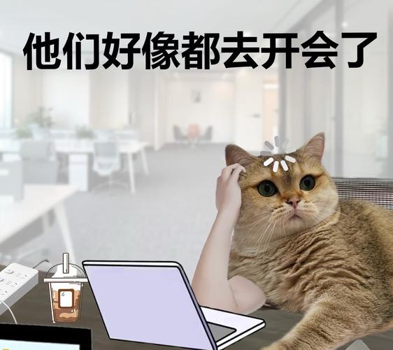 提前去公司观察，老板有何安排？-图1