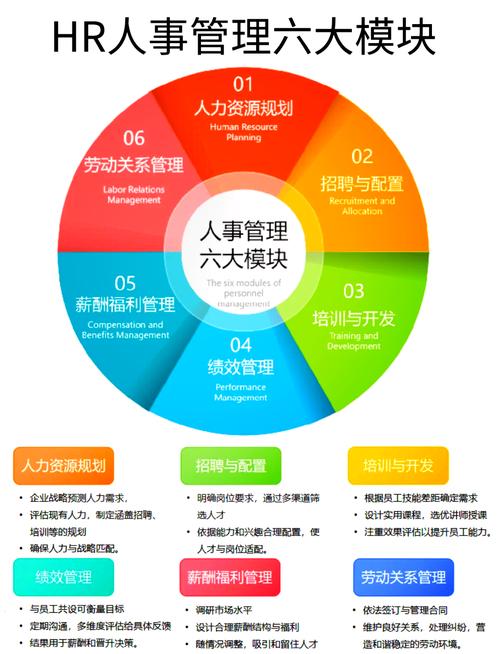 公司人力资源角色如何分工协作?-图1 公司人力资源角色如何分工协作?-图1