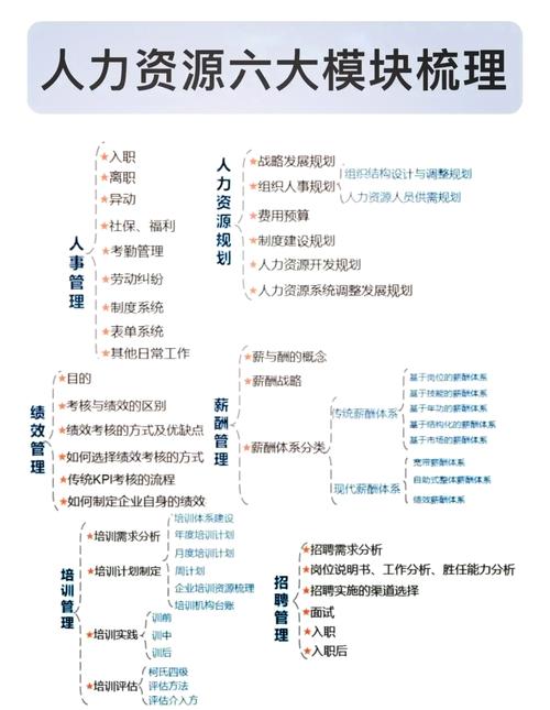 公司人力资源角色如何分工协作?-图3 公司人力资源角色如何分工协作?-图3