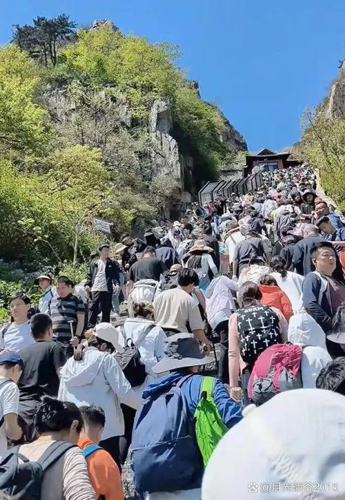 公司旅游缘何多人不愿参加？-图2