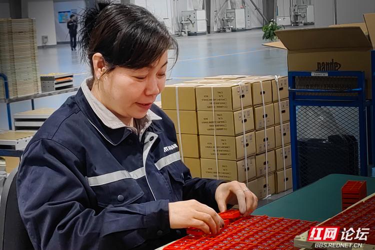 fesco陕西有限公司专员是做什么的？-图2