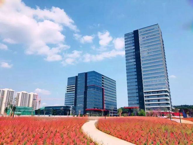 鹏劳人力资源公司背景-图1