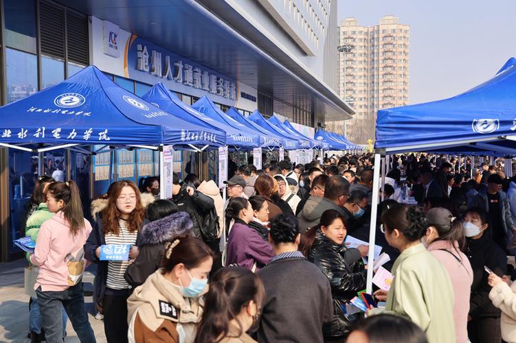 沧州招聘会有哪些热门岗位？-图1