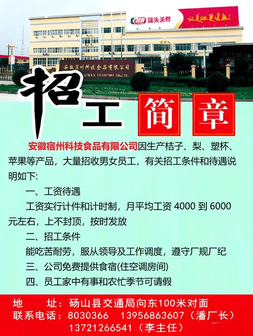 宿州人才招聘有哪些岗位和要求？-图2