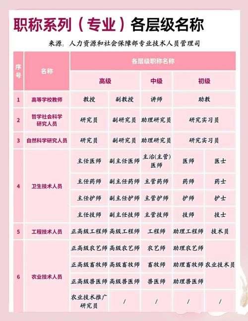 人力资源公司属于什么行政级别?-图1 人力资源公司属于什么行政级别?-图1