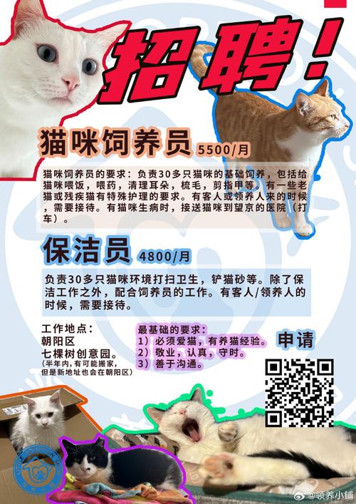 北京公关招聘有哪些热门岗位?-图2 北京公关招聘有哪些热门岗位?-图2