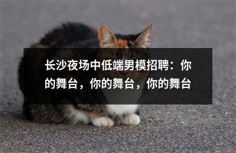 长沙男模招聘要求具体有哪些？-图1