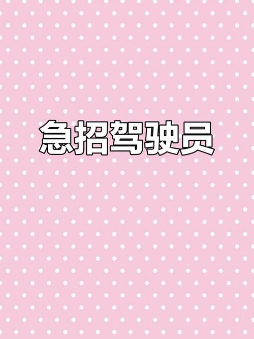 儋州司机招聘,待遇如何?-图3 儋州司机招聘,待遇如何?-图3