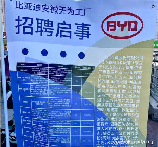 比亚迪招聘有哪些岗位？-图1