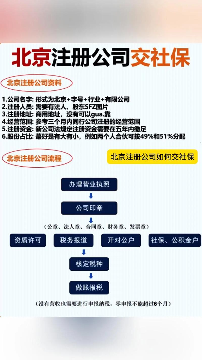 北京公司交的社保怎么查？-图3