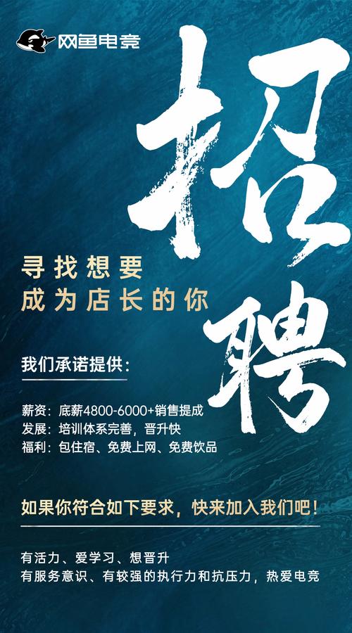 中国网招聘有哪些岗位？-图2