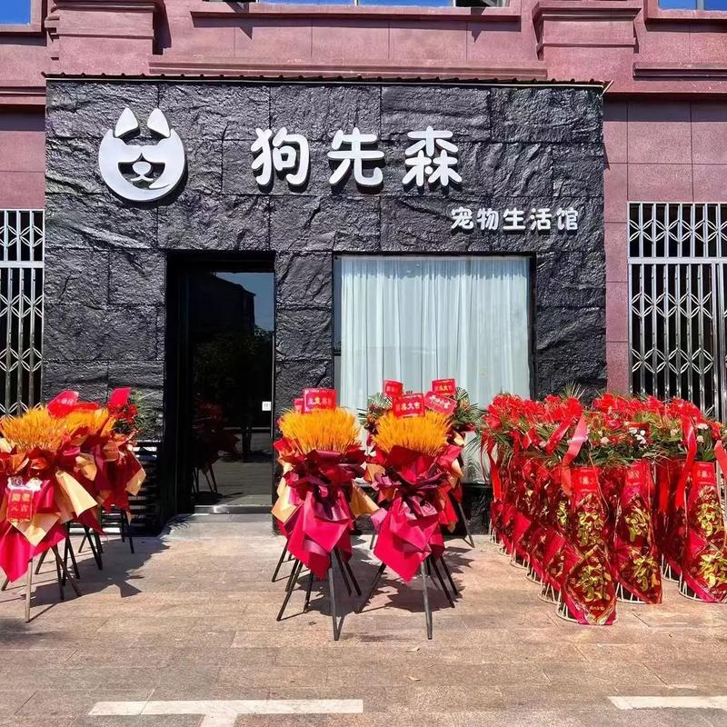 宠物店学徒招聘，门槛高吗？-图1