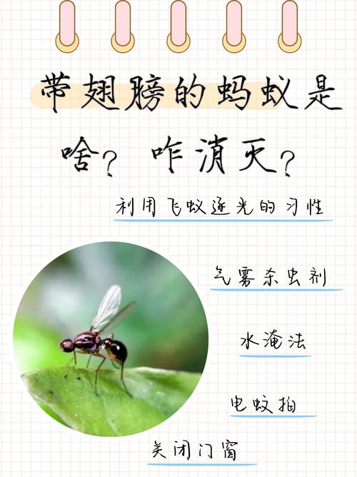 公司如何建立蚂蚁团队?-图2 公司如何建立蚂蚁团队?-图2