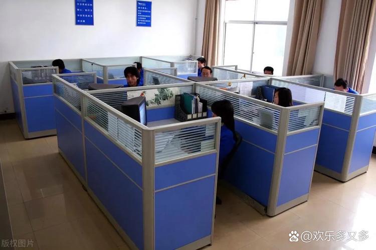 再人力资源有限公司提供哪些人力资源服务？-图2