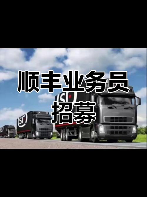 东莞顺丰招聘，岗位要求有哪些？-图2