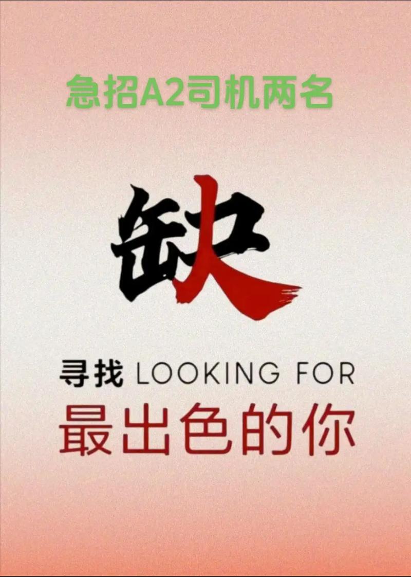 新会司机招聘，待遇如何？-图3