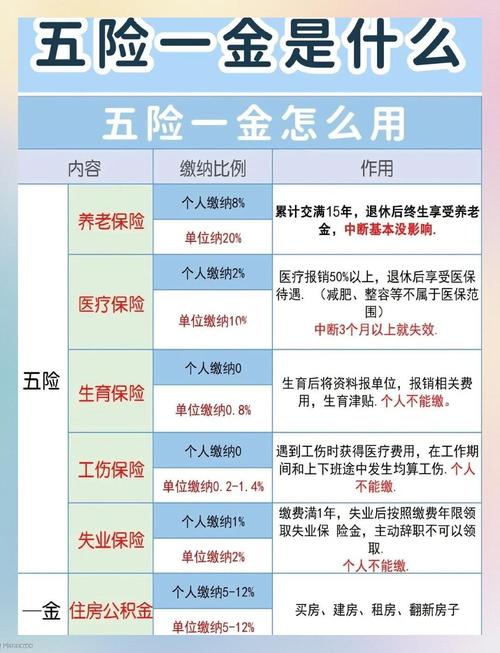 公司为何不愿为员工缴纳五险？-图2