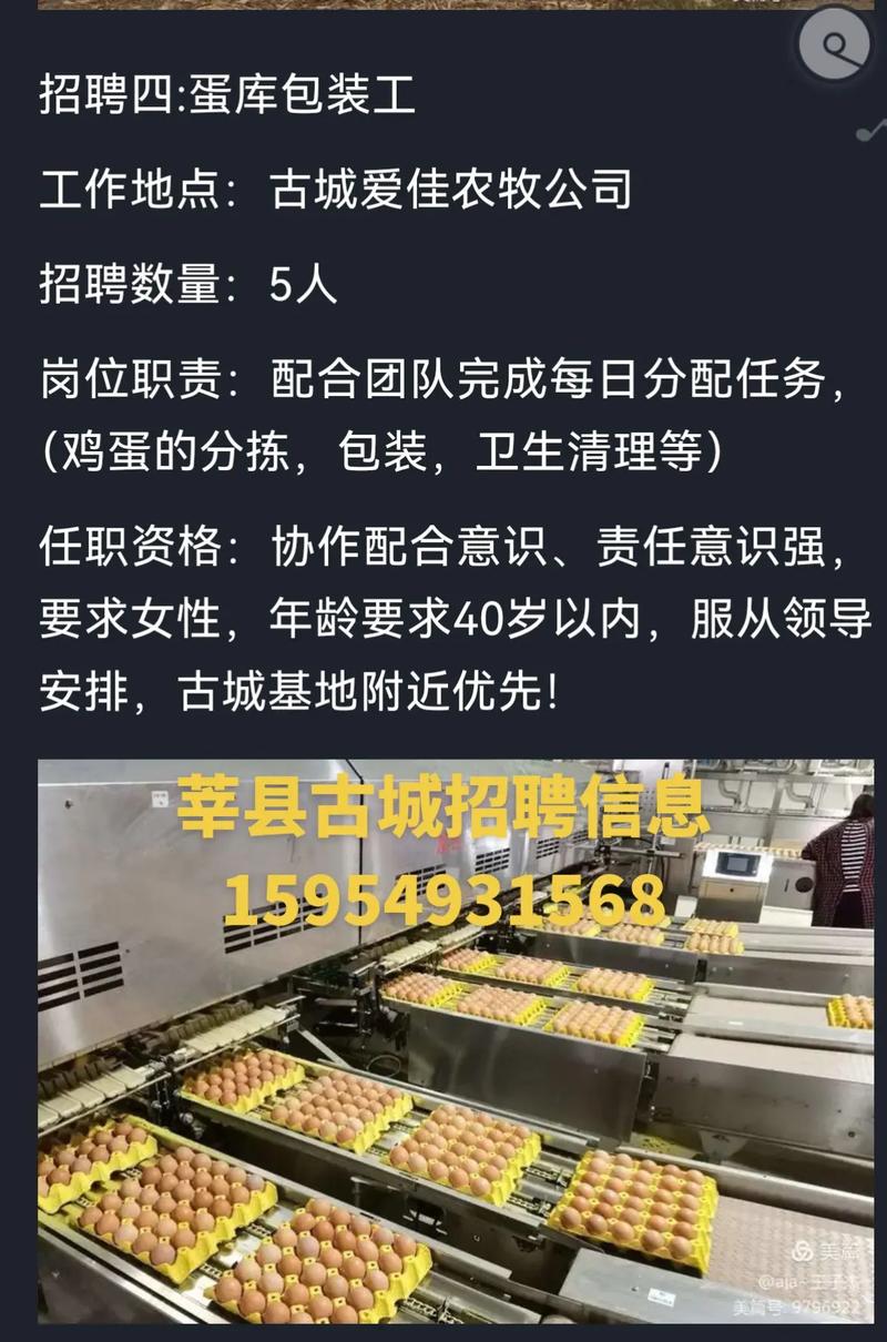 莘县最新招聘信息有哪些岗位?-图2 莘县最新招聘信息有哪些岗位?-图2