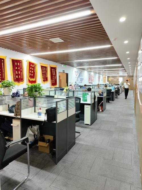 横琴人力资源服务公司-图3