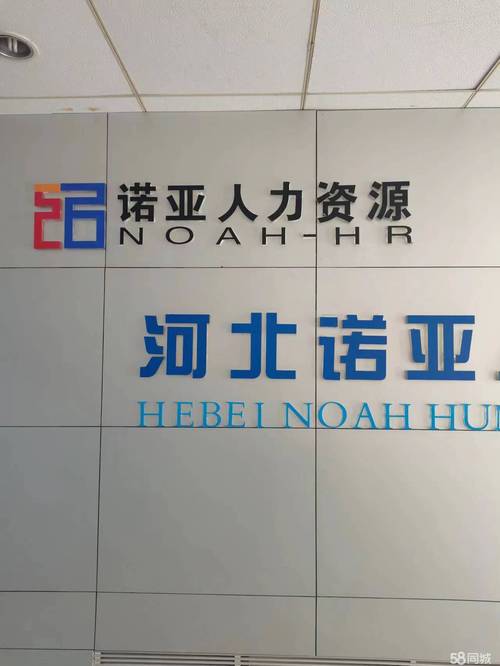 石家庄人力资源公司哪家好？-图1