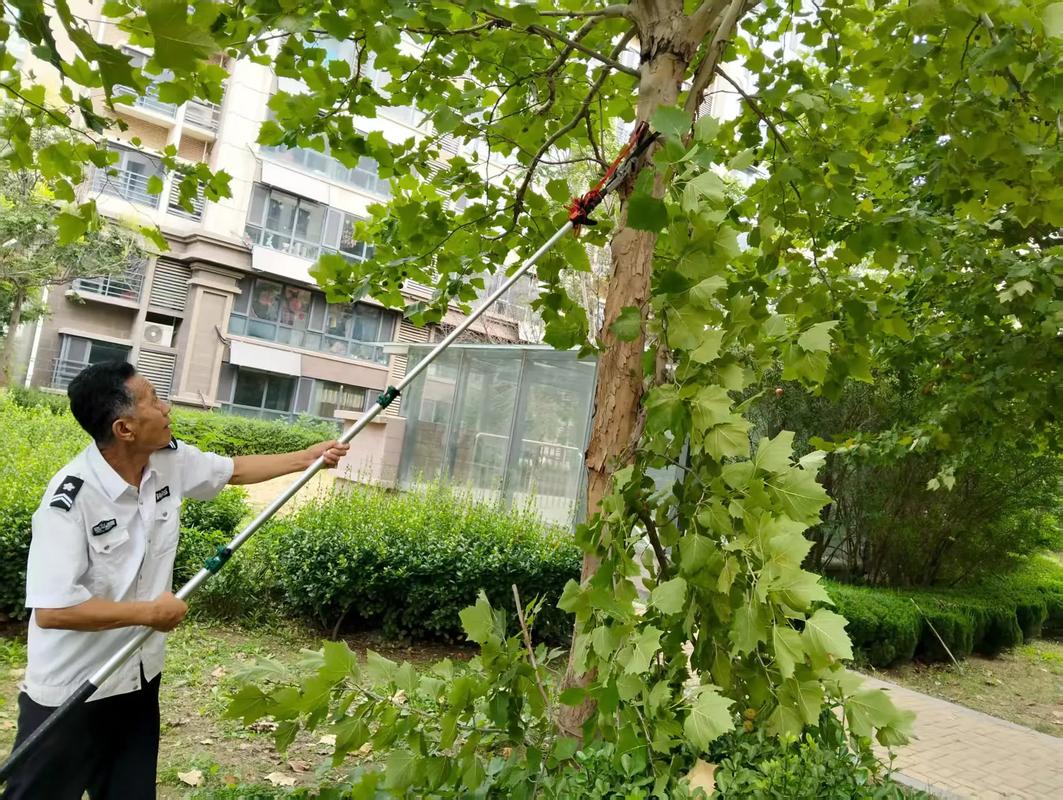 北京绿化招聘，具体岗位和要求有哪些？-图2