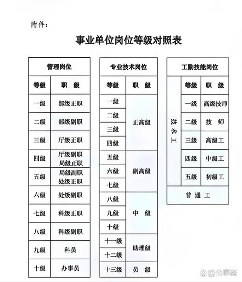100人公司人事部几人-图3