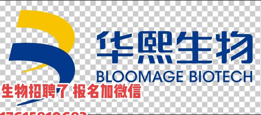 济南孙村招聘有哪些岗位？-图2